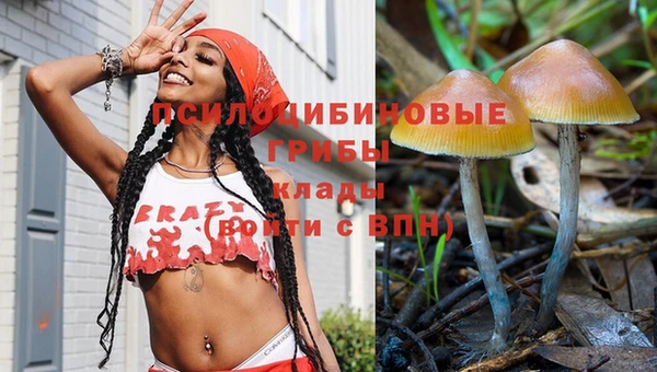 дурь Новокубанск