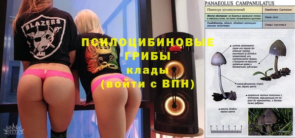 COCAINE Новозыбков