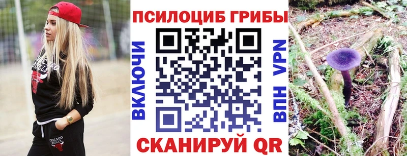 Псилоцибиновые грибы GOLDEN TEACHER  Купить где  Ржев 