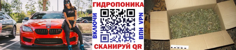 Бошки Шишки план  Купить закладки  Ржев 